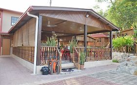 Borneo Tree House